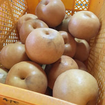 新高梨 訳あり 7kg 詰め合わせ 7kg 果物や野菜などのお取り寄せ宅配食材通販産地直送アウル