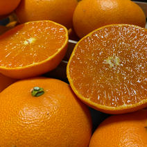 【愛媛県産せとか】春の王様🍊登場🍊（3.0k入） 3.0k 果物や野菜などのお取り寄せ宅配食材通販産地直送アウル