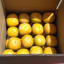 【送料500円引き】和歌山県産　たね無し柿（中谷極早生）A品5kg A品 約5kg 果物や野菜などのお取り寄せ宅配食材通販産地直送アウル
