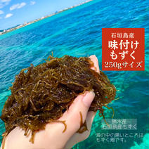 石垣島産もずく【味付け250g×5】小サイズ 250ｇサイズ 果物や野菜などのお取り寄せ宅配食材通販産地直送アウル