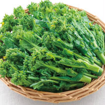 菜花　無農薬 100g 果物や野菜などのお取り寄せ宅配食材通販産地直送アウル