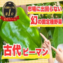 ピーマンの産地直送商品一覧（通販・お取り寄せ）-産直アウル