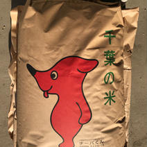 令和７年度　ふさおとめ新米　玄米 玄米　５キロ 果物や野菜などのお取り寄せ宅配食材通販産地直送アウル