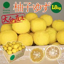 ゆず・柚子（果物＞香酸柑橘(ライム・レモン等)）の産地直送商品一覧