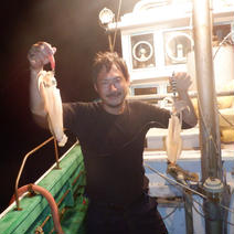 夏ギフト萩産剣先イカ1㌔ 1㌔ 果物や野菜などのお取り寄せ宅配食材通販産地直送アウル