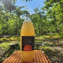 りんごジュース　青森県産　丸ごとしぼり　1L6本入り 1000ml　3本 果物や野菜などのお取り寄せ宅配食材通販産地直送アウル