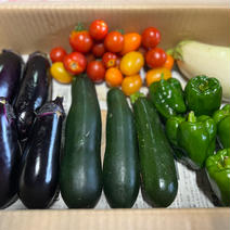 【訳あり】夏野菜セット　群馬県東吾妻町産　（なす・ズッキーニ・ピーマン・ミニトマト・白ナス） なす・5本/白ナス・1本/ピーマン・6個/ミニトマト・20個/ズッキーニ・3本 果物や野菜などのお取り寄せ宅配食材通販産地直送アウル