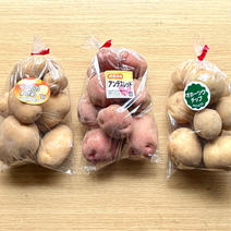 お試しに！新じゃがいも3種 食べ比べセット ２キロ箱 じゃがいも3種食べ比べ　箱含め2キロセット 果物や野菜などのお取り寄せ宅配食材通販産地直送アウル