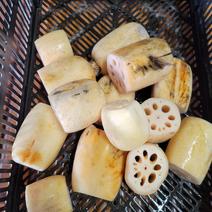 訳ありレンコンB級品4㌔❗ 4㌔ 果物や野菜などのお取り寄せ宅配食材通販産地直送アウル