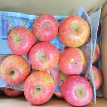 最終❗️山形県産　樹上完熟サンふじ🍎10キロ　訳あり家庭用❗️ 10キロ 果物や野菜などのお取り寄せ宅配食材通販産地直送アウル