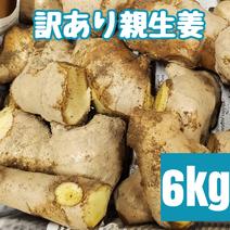 訳あり土付き親生姜 6kg 6kg 果物や野菜などのお取り寄せ宅配食材通販産地直送アウル