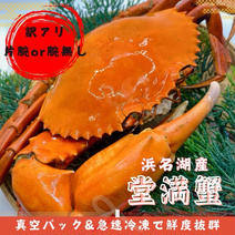 訳あり【幻のカニ】茹で堂満蟹(ドウマンガニ)　片腕無し小サイズ400g以下 小サイズ400g以下 果物や野菜などのお取り寄せ宅配食材通販産地直送アウル