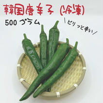 韓国唐辛子 約500g 宮崎産 冷凍 激辛 収穫後に急速冷凍 約500g 果物や野菜などのお取り寄せ宅配食材通販産地直送アウル