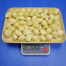 那須高原ホワイト六片 むきにんにく　500ｇ 500ｇ 果物や野菜などのお取り寄せ宅配食材通販産地直送アウル