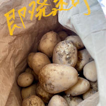 新じゃがいものにしゆたか10キロ 10キロ 果物や野菜などのお取り寄せ宅配食材通販産地直送アウル