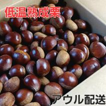 栗（果物）の産地直送商品一覧（通販・お取り寄せ）-産直アウル