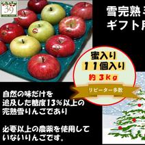 青森県産りんご「冬ギフト」「蜜入り」糖度１３%以上  数量限定販売※リピーター多数！！サンふじ王林ミックス３kg１１個入り 約３kg 果物や野菜などのお取り寄せ宅配食材通販産地直送アウル