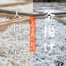 【しらす食べ比べ】釜揚げと天日干し1KG(4パック小分け梱包) 釜揚げ2P500g、天日干し2P500g 果物や野菜などのお取り寄せ宅配食材通販産地直送アウル