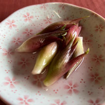 みょうが　甘酢漬け　300g みょうが　300g 果物や野菜などのお取り寄せ宅配食材通販産地直送アウル