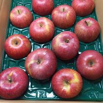 りんご5kg クリスマス家庭用 5kg 果物や野菜などのお取り寄せ宅配食材通販産地直送アウル