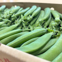 『訳ありおのんすなっぷえんどう』 500g 果物や野菜などのお取り寄せ宅配食材通販産地直送アウル