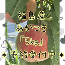 福島県産 もも 『あかつき又はまどか』常温発送 もも 果物や野菜などのお取り寄せ宅配食材通販産地直送アウル