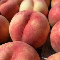 桃「さくら」　家庭用5kg 5kg 果物や野菜などのお取り寄せ宅配食材通販産地直送アウル