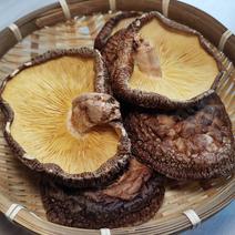 干し椎茸の産地直送商品一覧（通販・お取り寄せ）-産直アウル