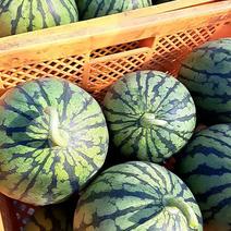 山七農園の小玉スイカ 4kg 果物や野菜などのお取り寄せ宅配食材通販産地直送アウル