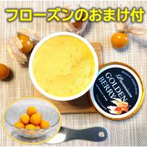 【フローズンおまけ付😆】 果実の美味しさを味わえるゴールデンベリープレミアムアイス6個セット ﾌﾟﾚﾐｱﾑ6個入り（おまけ付） 果物や野菜などのお取り寄せ宅配食材通販産地直送アウル