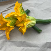 【季節限定】花付きズッキーニ(5本セット) 約300ｇ 果物や野菜などのお取り寄せ宅配食材通販産地直送アウル