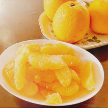 🍊今が旬！！🍊【御家庭用】　10.0㎏　天晴晩柑！（河内晩柑) 10.0ｋｇ 果物や野菜などのお取り寄せ宅配食材通販産地直送アウル