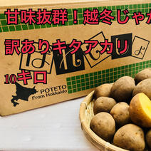 キタアカリ（野菜＞じゃがいも）の産地直送商品一覧（通販・お取り寄せ