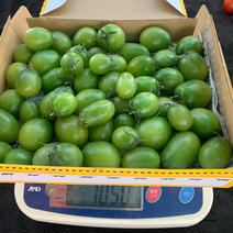 龍宮FARMのグリーントマト 1.0kg 果物や野菜などのお取り寄せ宅配食材通販産地直送アウル