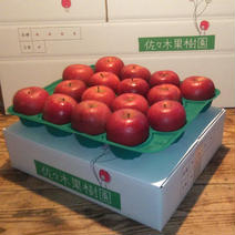 【ご家庭用中玉】サンふじ約5kg 約5kg(16~18玉) 果物や野菜などのお取り寄せ宅配食材通販産地直送アウル