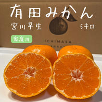 完熟甘うま！【有田みかん】温州みかん　宮川早生　家庭用　5キロ　低農薬 5キロSサイズ 果物や野菜などのお取り寄せ宅配食材通販産地直送アウル