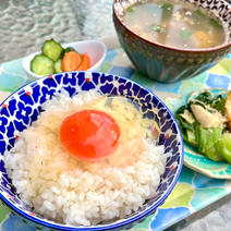 けいこ農園の真っ赤な黄身の濃厚鶏卵「栴檀双葉」 玉子12個 果物や野菜などのお取り寄せ宅配食材通販産地直送アウル