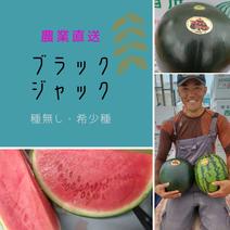 ブラックジャック(種無)2Ｌ ２L(約7㎏) 果物や野菜などのお取り寄せ宅配食材通販産地直送アウル