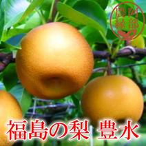 【和梨の予約】福島の完熟梨　豊水5ｋｇ（11～15玉）　ギフト・贈答用に【9月上旬～9月下旬お届け予定】 5ｋｇ 果物や野菜などのお取り寄せ宅配食材通販産地直送アウル
