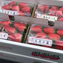 一伍屋おまかせ食べくらべ4P二箱セット 合計約2.0kg ["西脇市", "産地詳細"] 通販