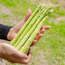 安曇野わさびの産地直送食材・商品一覧（通販・お取り寄せ・6ページ目