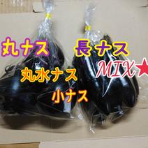 ｢訳あり｣紫の茄子４品種★【お試し】80サイズ♪ 80ｻｲｽﾞ紫茄子４品種５㎏以内 果物や野菜などのお取り寄せ宅配食材通販産地直送アウル