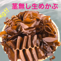 朝採れ生めかぶ（茎無し）2kg  漁師直送 2kg 果物や野菜などのお取り寄せ宅配食材通販産地直送アウル