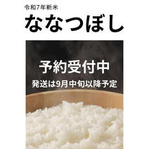 (予約受付中)令和7年産北海道ななつぼし10kg✖️2袋 20kg 果物や野菜などのお取り寄せ宅配食材通販産地直送アウル