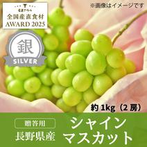 贈答用シャインマスカット1kg（2房）【銀賞受賞】／本気農場いけだ 約1kg（2房） 果物や野菜などのお取り寄せ宅配食材通販産地直送アウル