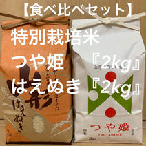 【新米】初回の方限定特別価格‼︎計4kgお試し‼︎つや姫、はえぬき食べ比べセット つや姫2kg、はえぬき2kg、計4kg 果物や野菜などのお取り寄せ宅配食材通販産地直送アウル