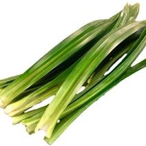 生パンダンリーフ【1kg】｜沖縄県糸満市産 1kg 果物や野菜などのお取り寄せ宅配食材通販産地直送アウル