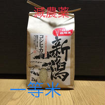 【お試し】一等米！新米 甘くて美味しい！ 新潟県産コシヒカリ　減農薬の特別栽培米🌾 玄米2kg 果物や野菜などのお取り寄せ宅配食材通販産地直送アウル