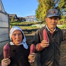 訳あり南阿蘇村産　紅はるか　5キロ　訳あり　サイズバラバラ 訳あり５キロ 果物や野菜などのお取り寄せ宅配食材通販産地直送アウル