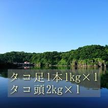 タコ足1本1kg×1 タコ頭2kg×1 タコ足1本1kg×1 タコ頭2kg×1 果物や野菜などのお取り寄せ宅配食材通販産地直送アウル